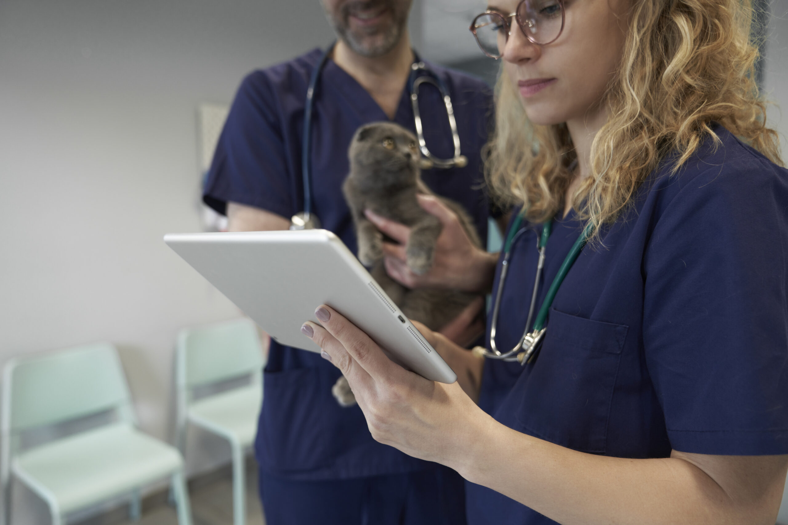 ChatGPT vs Plumb’s: 5 Ways AI Can Get Veterinary Drug Details Wrong