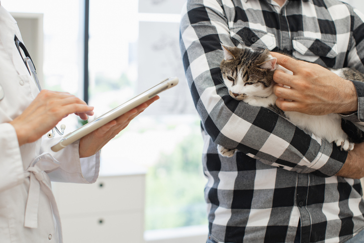 Quiz: Is Plumb’s or Standards of Care the Best Fit for Your Practice?